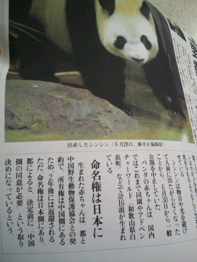 Memo パンダの赤ちゃん死亡 号外 Togetter