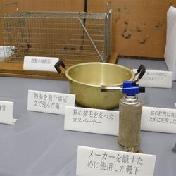 猫虐待で有名な生き物苦手板の閉鎖署名が4万人を突破 閉鎖については賛否両論 早く閉鎖した方がいい 隔離場所を潰してどうする 必要悪なのかもね Togetter