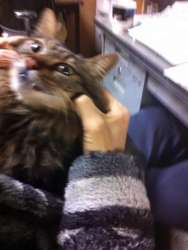 山口貴由仕事場レポ 2ページ目 Togetter