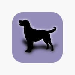 犬図鑑 という犬の系統樹のアプリがあるんだけどこれを眺めているだけで時間が無限に溶けていく Togetter