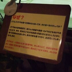 ゴリラがウ コを投げた後にすばやく逃げるのはなぜなのか という話からtlがゴリラとウ コで埋まる Togetter