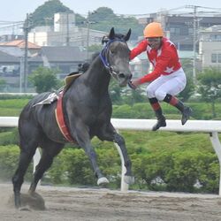 競馬界のレジェンド・的場文男が落馬寸前でゴール！その写真が衝撃的