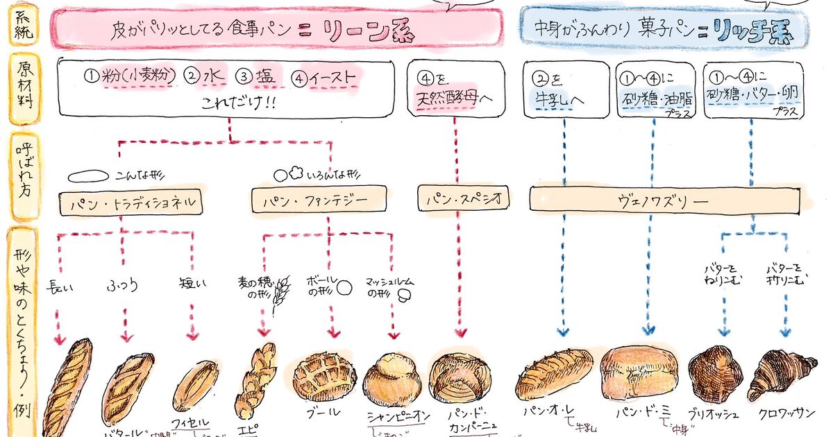 パン の 分類
