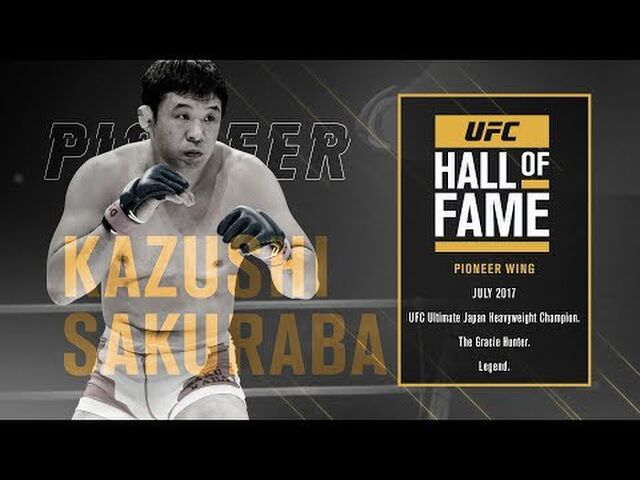 PRIDE 格闘技RIZIN オープンフィンガーグローブ　海外輸入UFC桜庭和志 破格！UFC オープンフィンガーグローブ RIZIN PRIDE WWE K-1