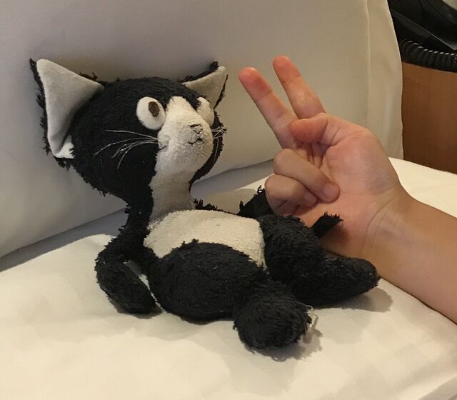 肌身離さず持ち歩いていたぬいぐるみ こねこのぴっち が行方不明に うちのぴっちも失踪歴が ちょっと旅に出てるだけかも その後 まさかの展開が Togetter