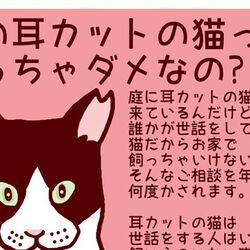 外で暮らしてる耳カットの猫さんは飼っちゃだめ 去勢や避妊手術済みで外で世話されてる猫さんなので家に迎え入れてあげて Togetter