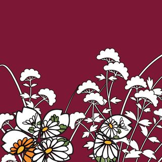 燭台切光忠の裏地の模様は女郎花 菊 桜 Togetter