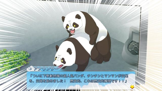 上野動物園のパンダが4年ぶりに交尾を確認 世間に公表されて不憫 から 推しカプの交尾を確認してニュースで流したい まで反応さまざま Togetter