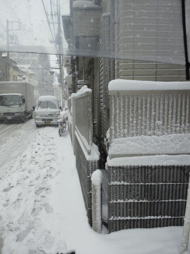 雪降ってるじゃな い 寒いと思ったわ Togetter