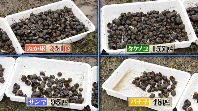 鉄腕dashで放送された ジャンボタニシの捕まえ方 が米農家の方々にとって最高で感謝される ちまちま拾っていたので感動した Togetter