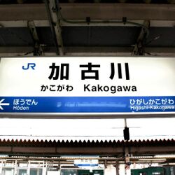 福袋売れ残りセール 加古川の人』のトレンド入りは、プロ野球の延長戦を示すらしい 塊根植物・コーデックス