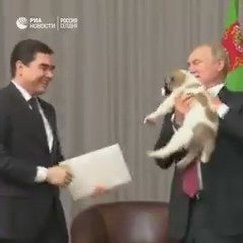 トルクメニスタンの大統領の犬の持ち方がひどいため プーチン大統領が慌てて奪い取るように抱きかかえる Togetter