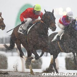 過去いち可愛い名前の馬 ハシルヨミテテが話題に 実況でニッコリしそう 他にもおもろい馬の珍名が続々と発掘される 2ページ目 Togetter