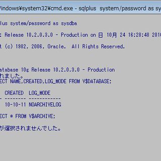 Oracle 10g R2のsql Plusでアーカイブログモードに切り換えたりログスイッチしたりしてみよう Togetter