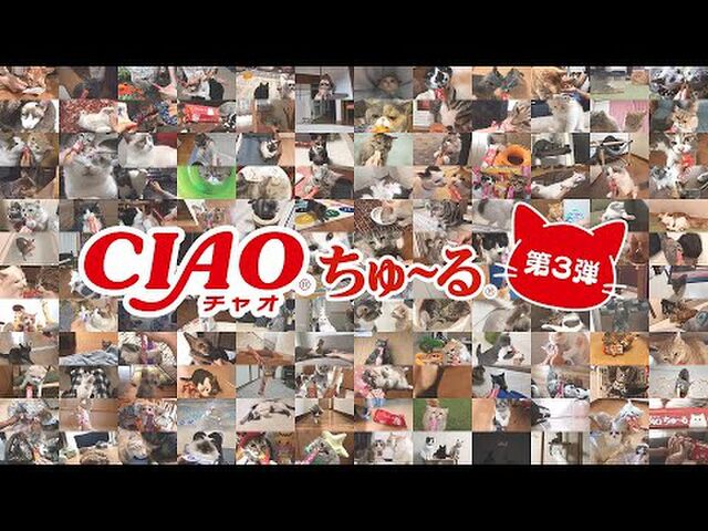 手術する時 医師から 麻酔効くまで好きな曲かけていいよ と言われたので Ciaoちゅ る の歌をリクエストした 映像付きだとなおよし Togetter
