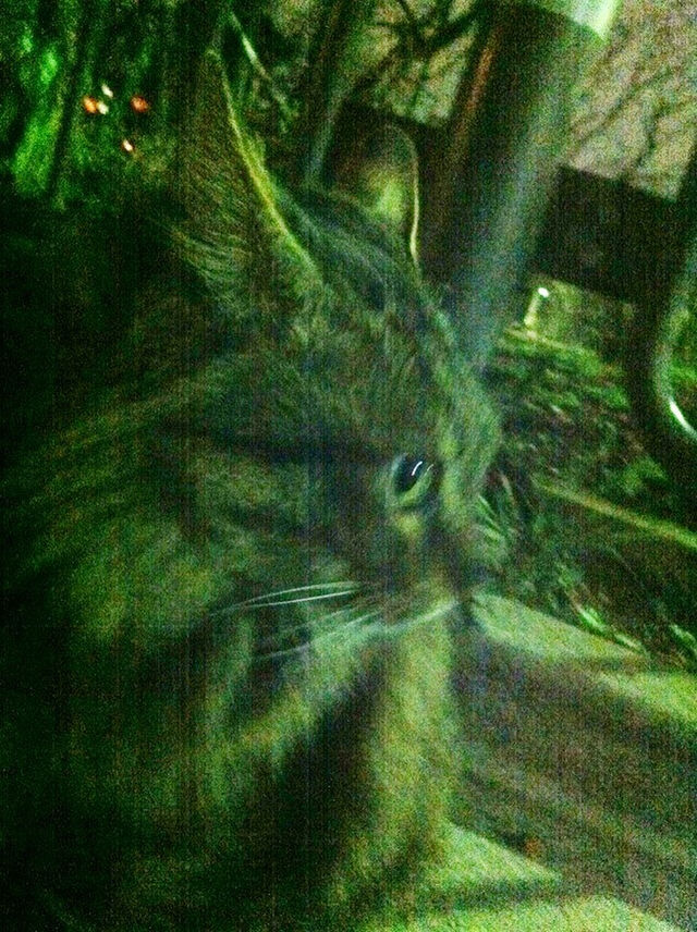 山口貴由仕事場レポ Togetter