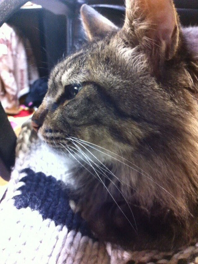 山口貴由仕事場レポ 2ページ目 Togetter