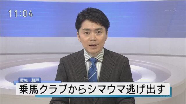 緊迫の捕獲劇から悲報へ シマウマニュースを伝えるｎｈｋ高瀬アナ その表情の微妙な変化に注目 Togetter