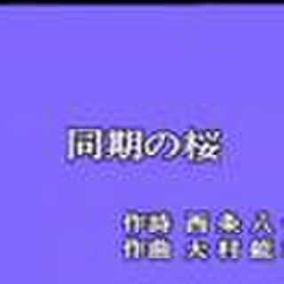 ドラマ 同期のサクラ のタイトルの元ネタが分かる人は視聴者層にいないのではという世代間ギャップの話 Togetter