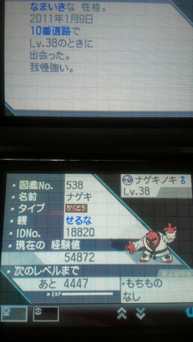 フレッシュ Bw2 旅パ そらをとぶ