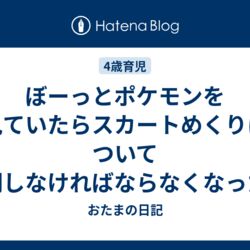 ポケモンの歌の スカートの中 を巡って子供に スカートめくりは駄目な文明 と教えた母の話 あの頃には廃れてた 歌詞とスカートめくりは無関係 など Togetter