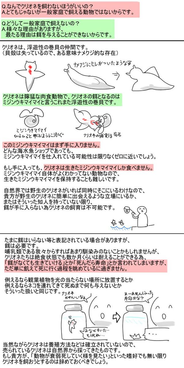 クリオネは素人が簡単に飼育できる生き物ではなかった 餌が入手困難な為 餓死するまで観察する以外の方法がない Togetter