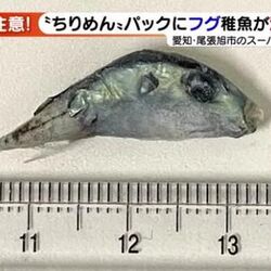 スーパーで販売したちりめんパックにフグの稚魚が混入 危ないからじゃなく存在自体が法律上アウト Togetter