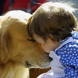 それでも人間を愛している 各国の研究でわかった犬の本音 Togetter