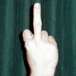 日本に中指を立て侮辱する文化はないから人に向かって中指立ててもおｋ Togetter