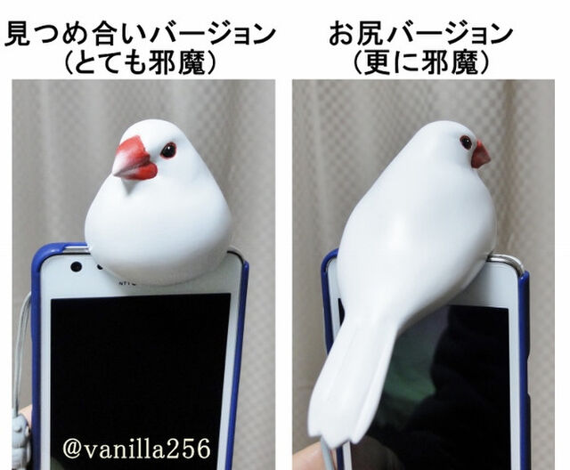 作ってみた 実物大の文鳥イヤホンジャックカバーが話題に 邪魔だけど可愛いなwww Togetter