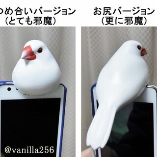 実物大の文鳥イヤホンジャックカバーがかわいい トゥギャッチ