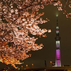 東京スカイツリーが魔王城みたいな雰囲気に 魔神柱 顕現 カルトの無料配信開始日に と盛り上がるtl 2ページ目 Togetter