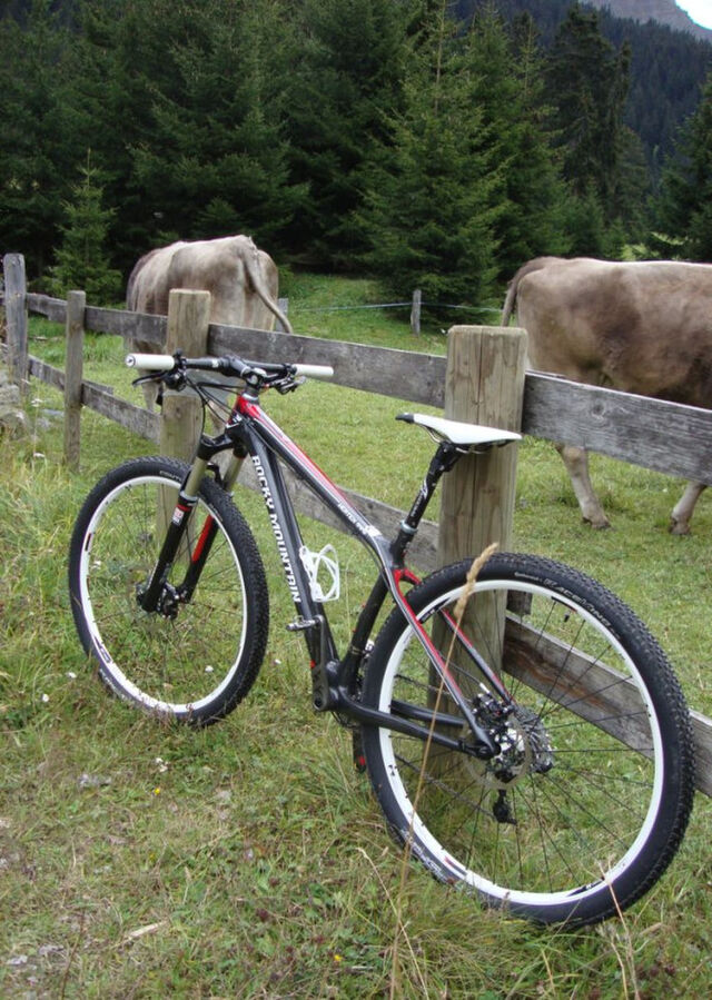 カナダ 自転車 値段