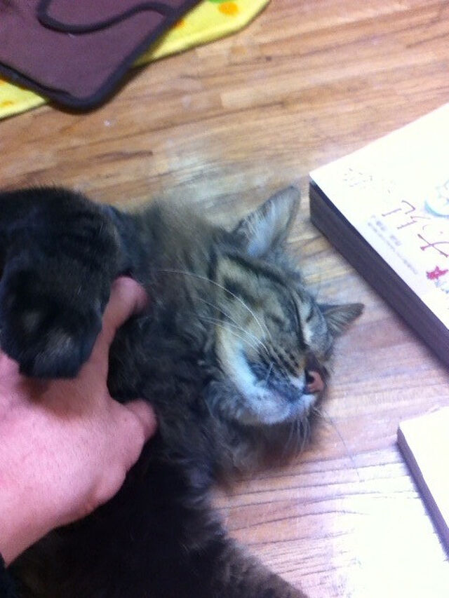 山口貴由仕事場レポ 2ページ目 Togetter