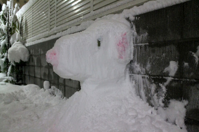 大雪に乗じてスヌーピーの雪だるまを作る人たち その２ 2ページ目 Togetter