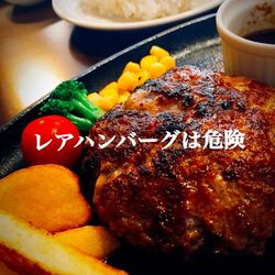 レアハンバーグ は危険 ステーキのレアとは事情が違う さわやか はどうなの 様々な意見まとめ Togetter