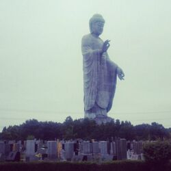 牛久大仏がエヴァ初号機と異色のコラボ中 さまざまな 牛久大仏 まとめ Togetter