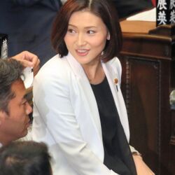 代表辞任の蓮舫参議院議員 自ら 猛批判 した公用車での 家族送迎 自分もやっていた 2017年8月2日 エキサイトニュース