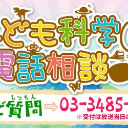 夏休み子ども科学電話相談 ダンゴムシは丸まるのに何でワラジムシは丸まらないの まうまう案件再来で大きいお友達も大興奮 Togetter