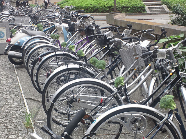 駒場 東大 前 自転車