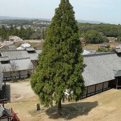 生き物の中で人間だけ「繁殖は恥ずかしい行為だ」と思っているのを 